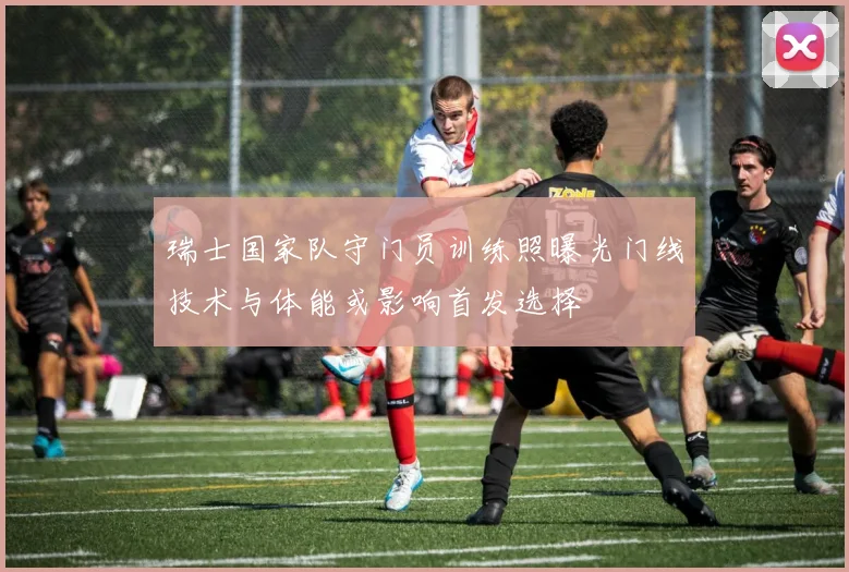 瑞士国家队守门员训练照曝光门线技术与体能或影响首发选择