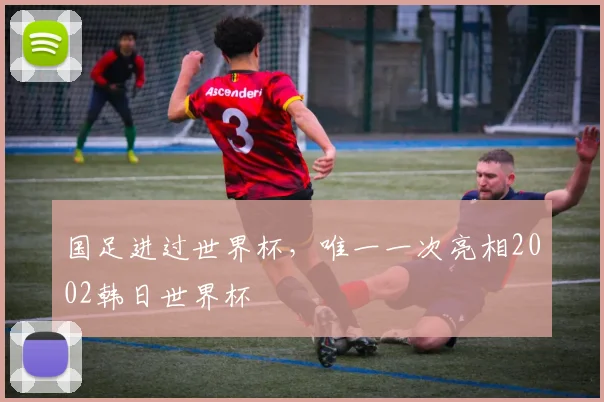 国足进过世界杯,唯一一次亮相2002韩日世界杯