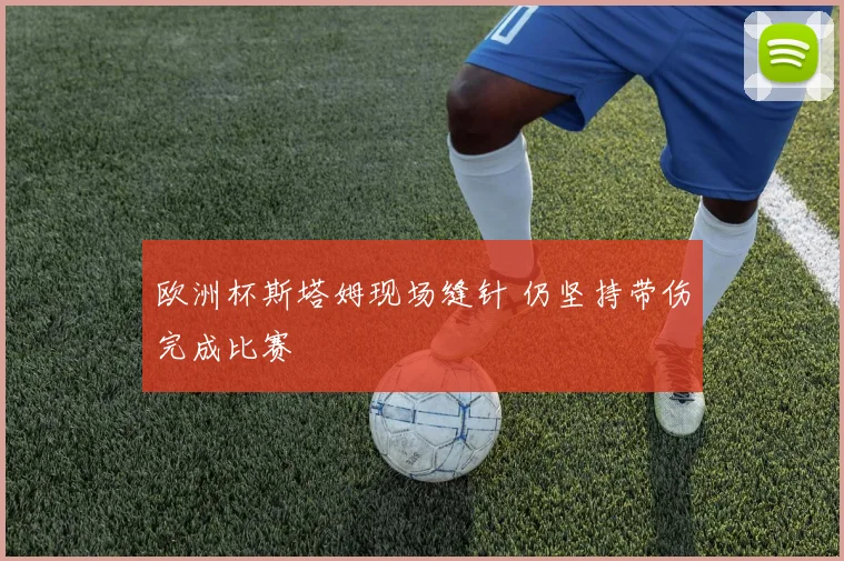 欧洲杯斯塔姆现场缝针 仍坚持带伤完成比赛